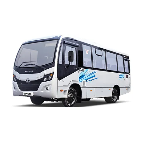 LP 613